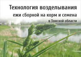 Технология возделывания ежи сборной на корм и семена в Томской области